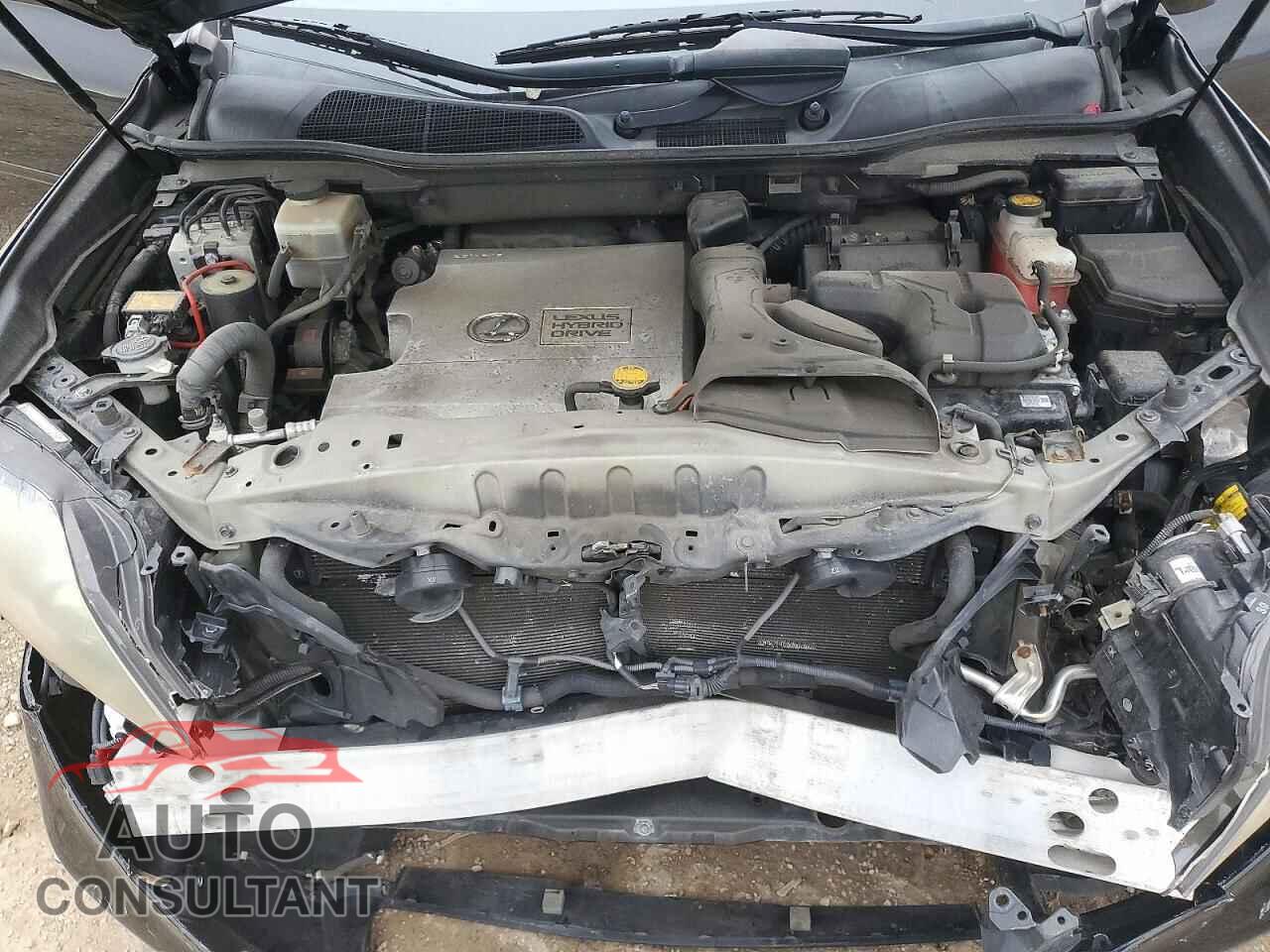 LEXUS RX450 2010 - JTJZB1BA1A2000816
