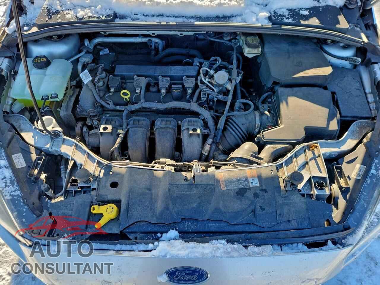FORD FOCUS 2017 - 1FADP3H24HL248496