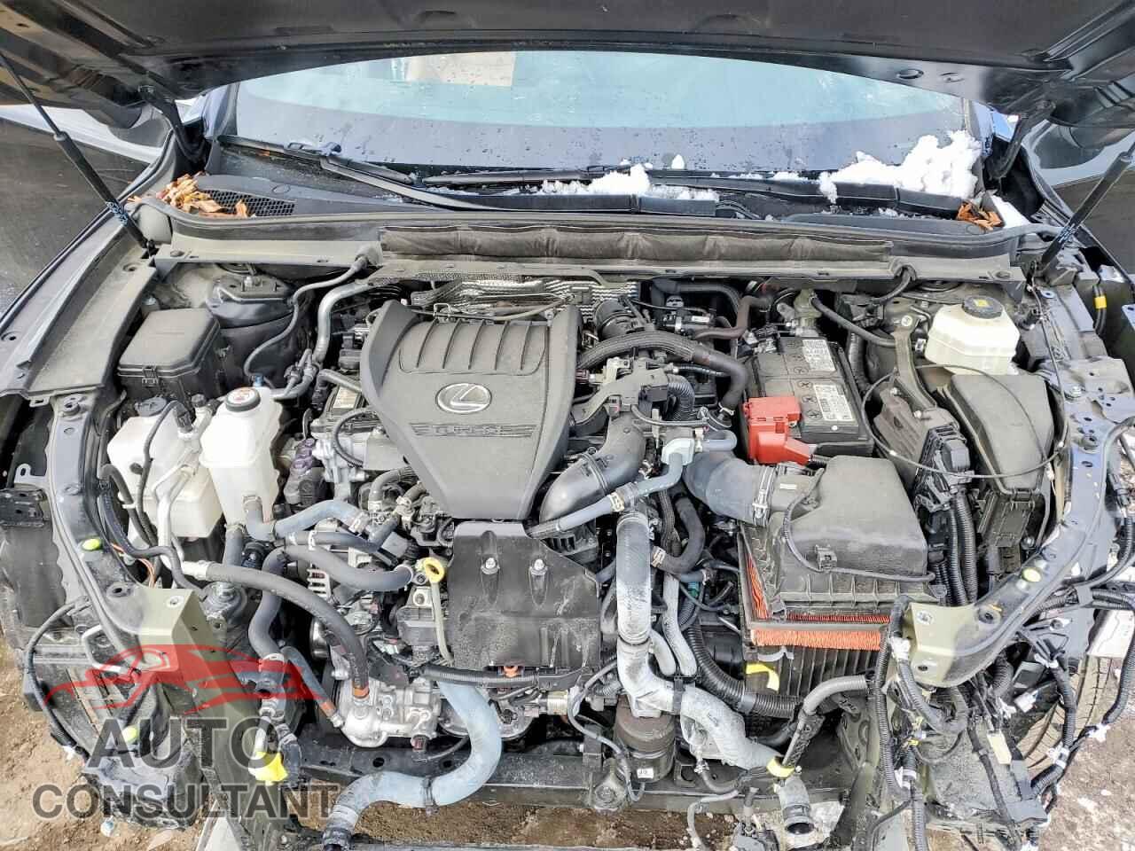 LEXUS RX350 2023 - 2T2BAMCA5PC019415