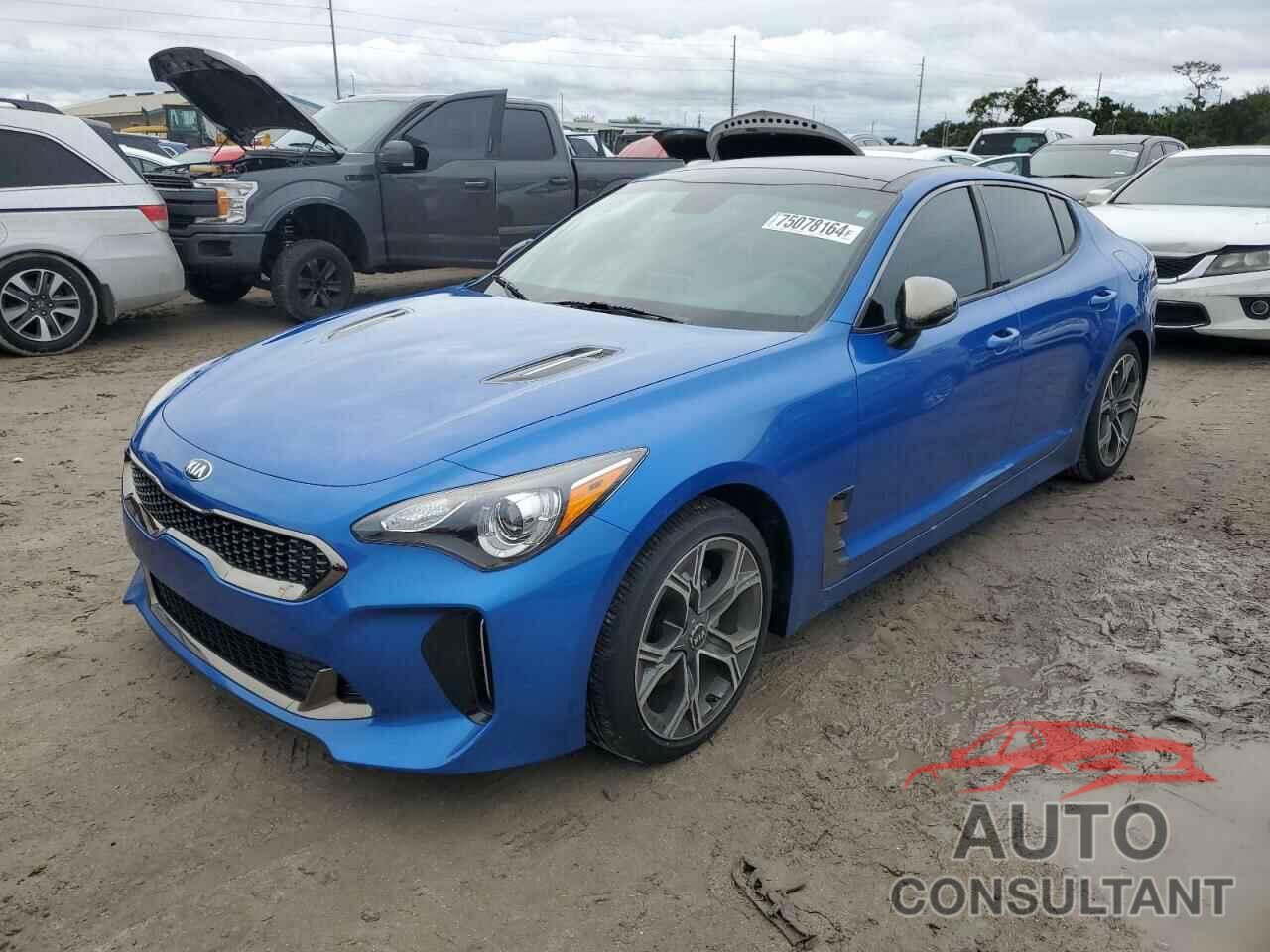 KIA STINGER 2020 - KNAE15LA6L6084716