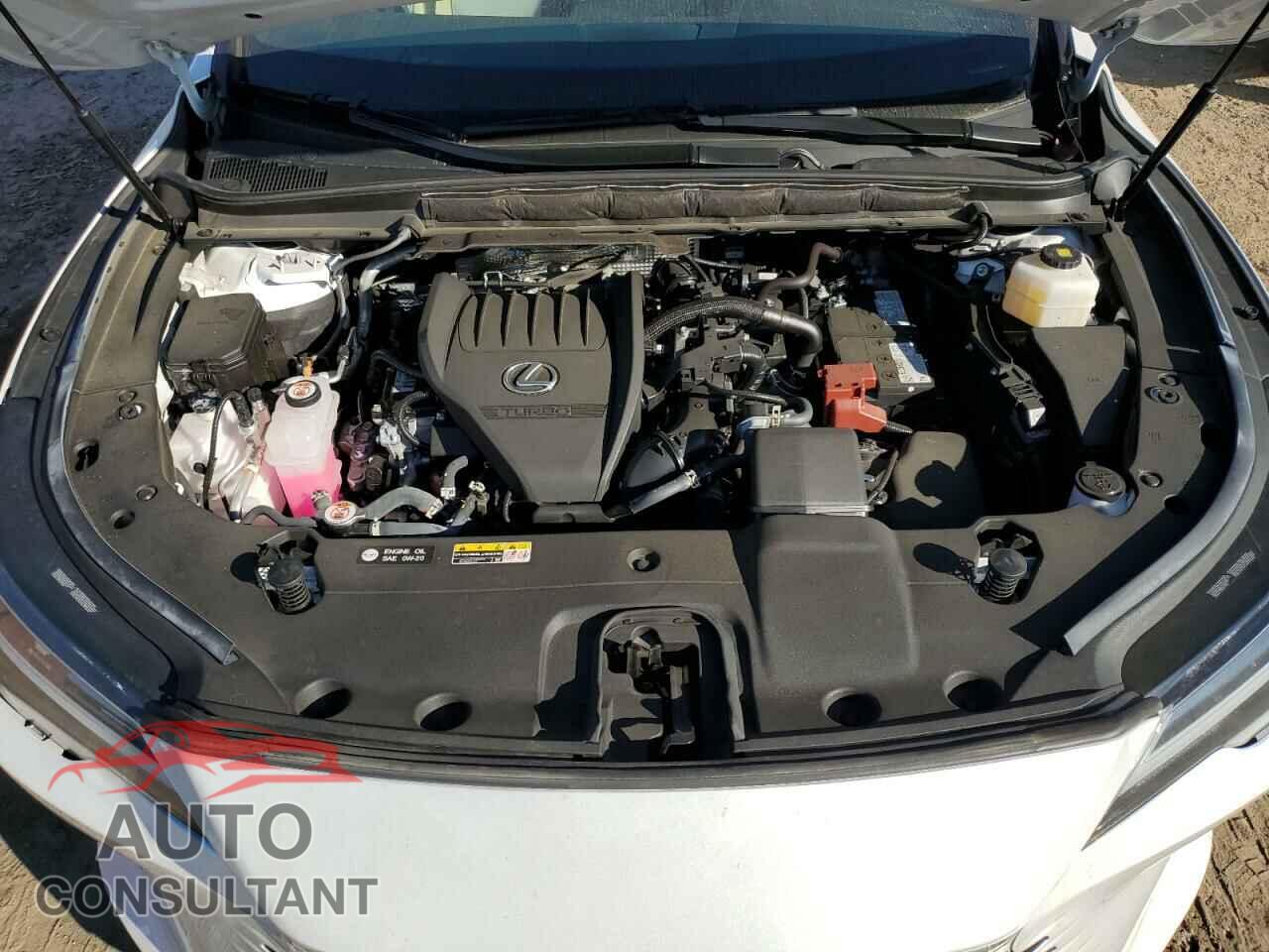 LEXUS RX350 2023 - 2T2BAMCA7PC022543