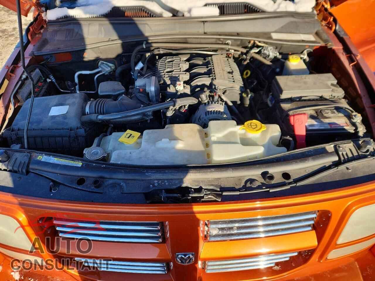 DODGE NITRO 2011 - 1D4PU6GX2BW563904