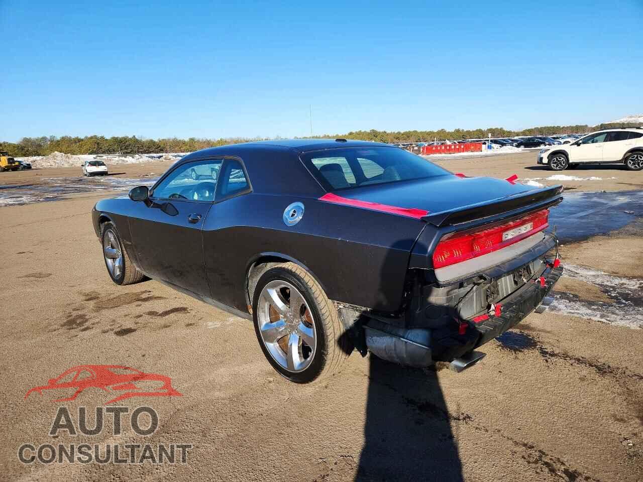 DODGE CHALLENGER 2013 - 2C3CDYAG3DH642147