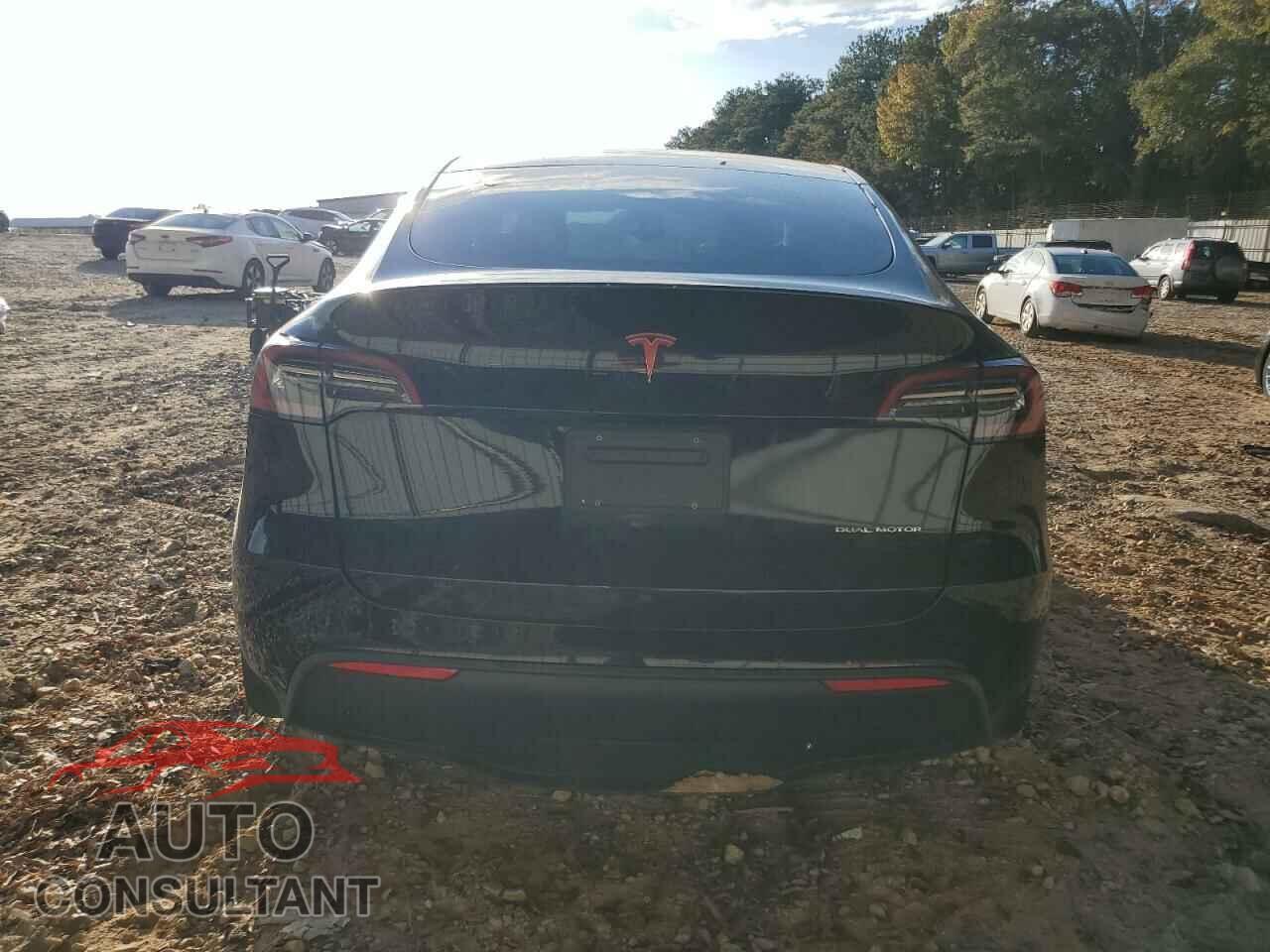 TESLA MODEL Y 2021 - 5YJYGDEE1MF203108