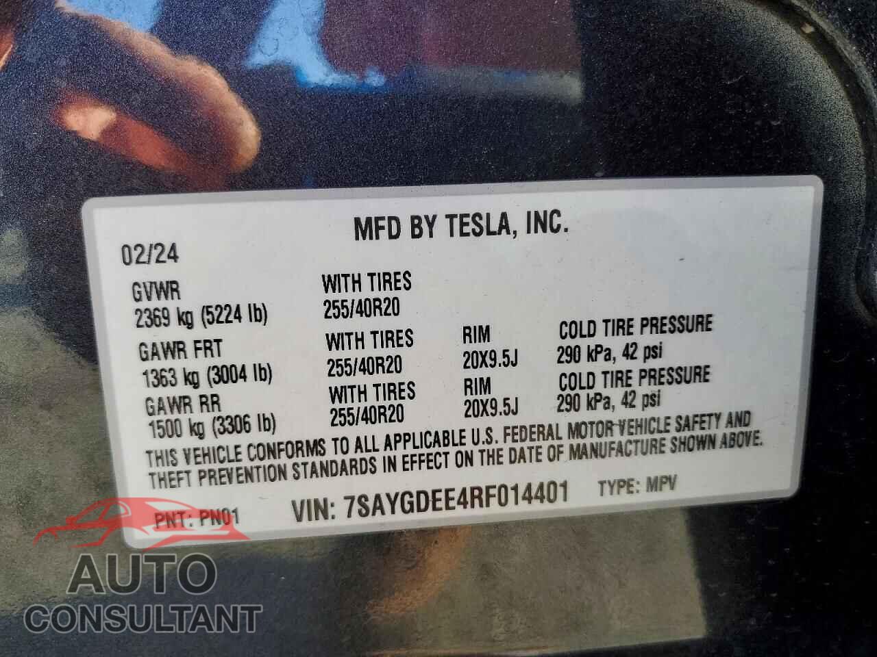 TESLA MODEL Y 2024 - 7SAYGDEE4RF014401