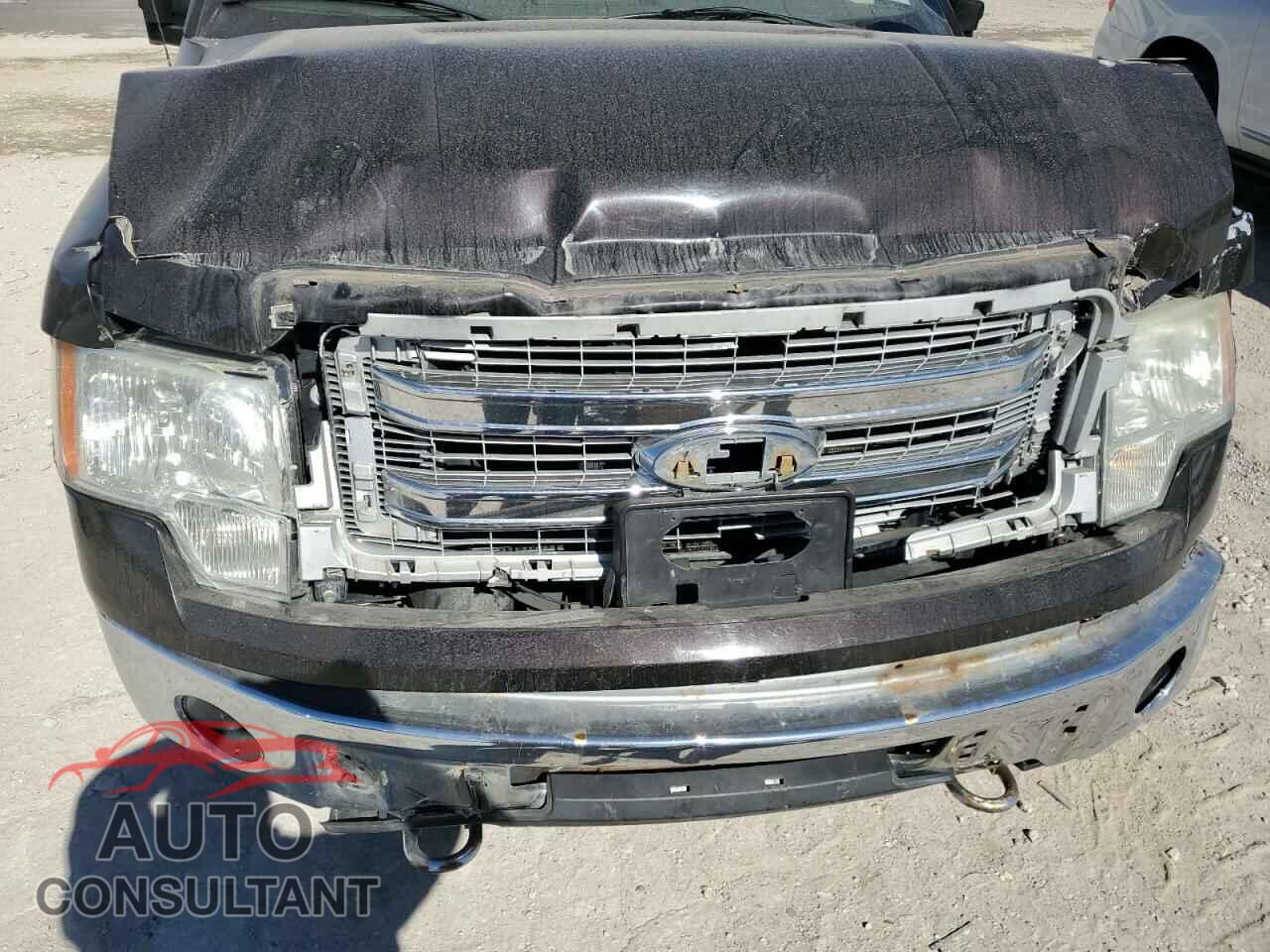 FORD F-150 2013 - 1FTFW1EF1DFD86670