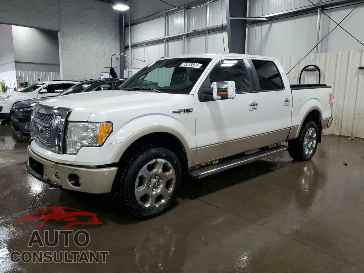 FORD F-150 2010 - 1FTFW1EV4AFD11710
