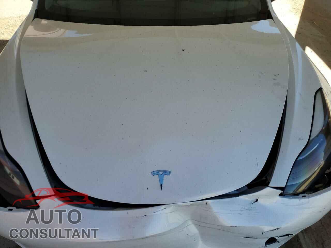 TESLA MODEL 3 2021 - 5YJ3E1EA4MF069495