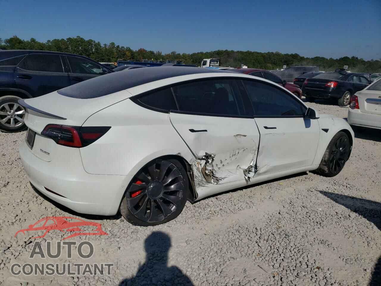 TESLA MODEL 3 2021 - 5YJ3E1EC8MF850909