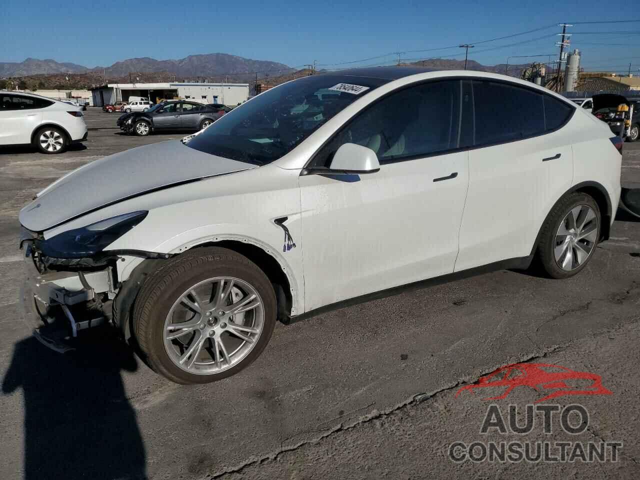 TESLA MODEL Y 2024 - 7SAYGAEE8RF016618