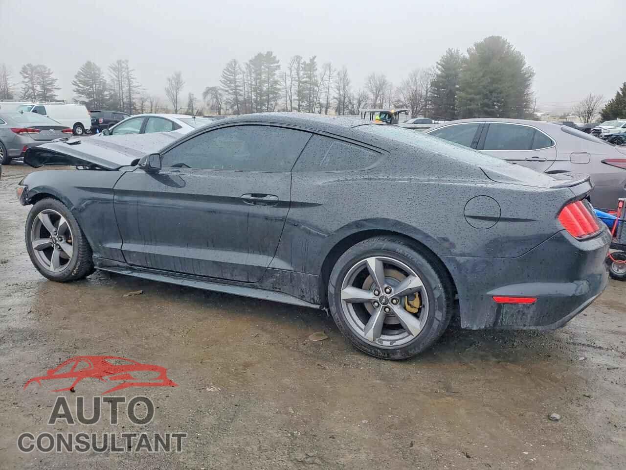FORD ALL Models 2015 - 1FA6P8AM8F5321694