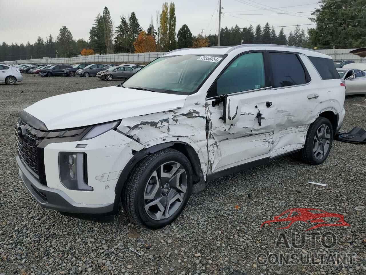 HYUNDAI PALISADE 2024 - KM8R5DGE8RU724795