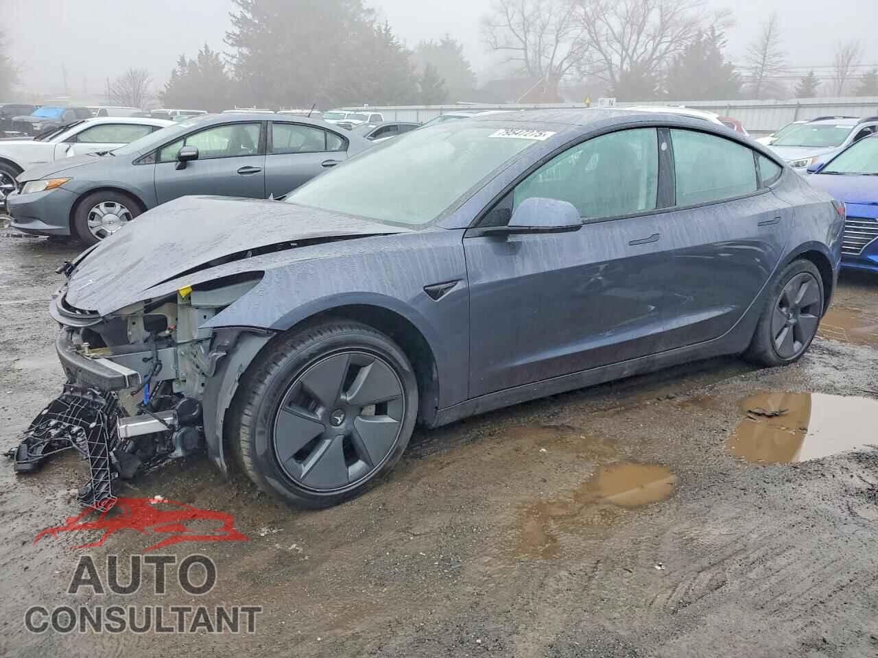 TESLA MODEL 3 2021 - 5YJ3E1EB3MF087379