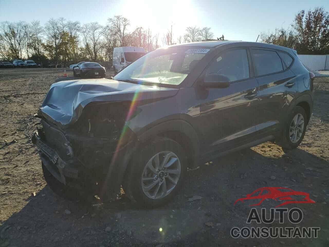 HYUNDAI TUCSON 2017 - KM8J23A49HU377413