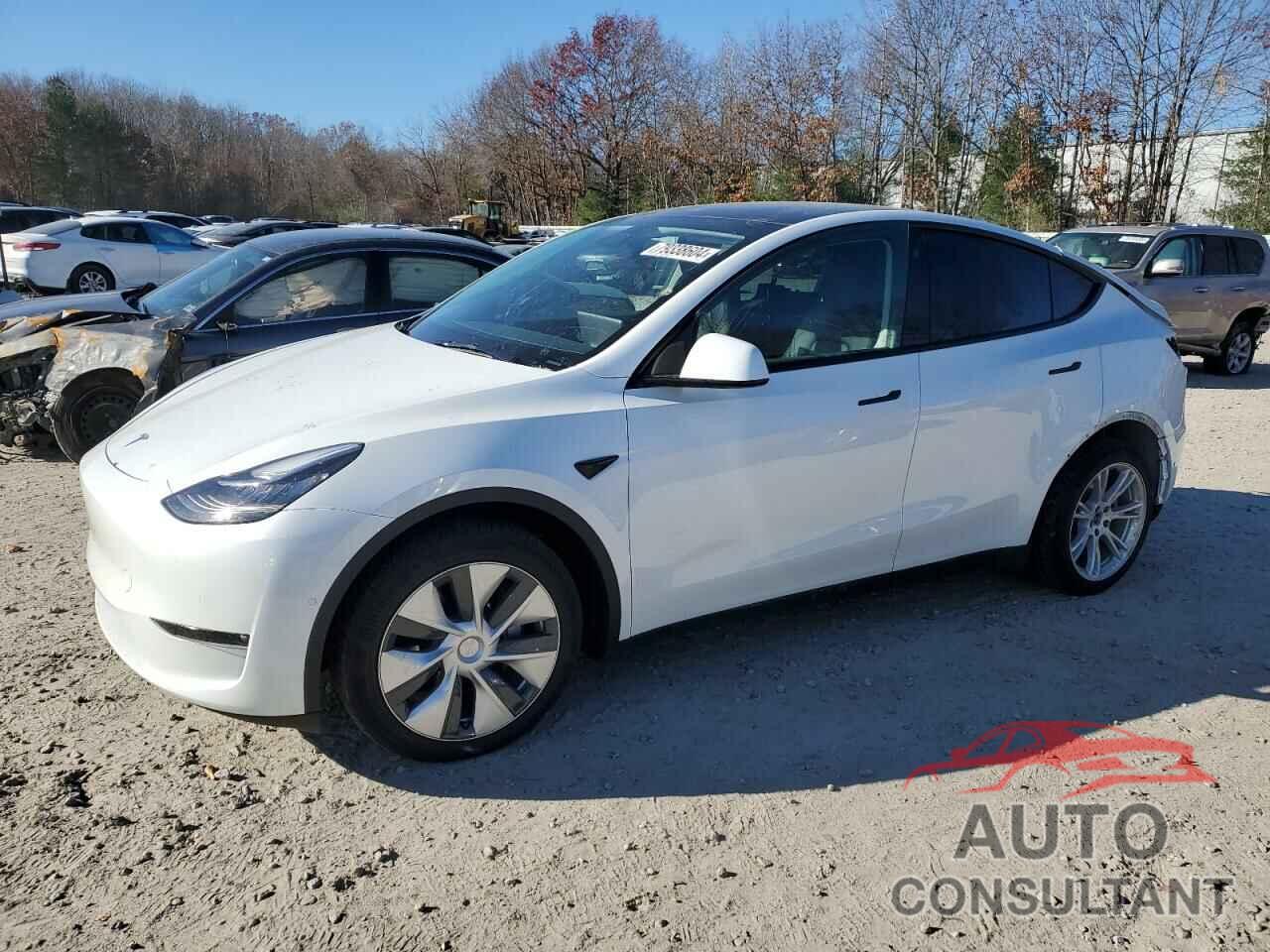 TESLA MODEL Y 2021 - 5YJYGDEEXMF268491