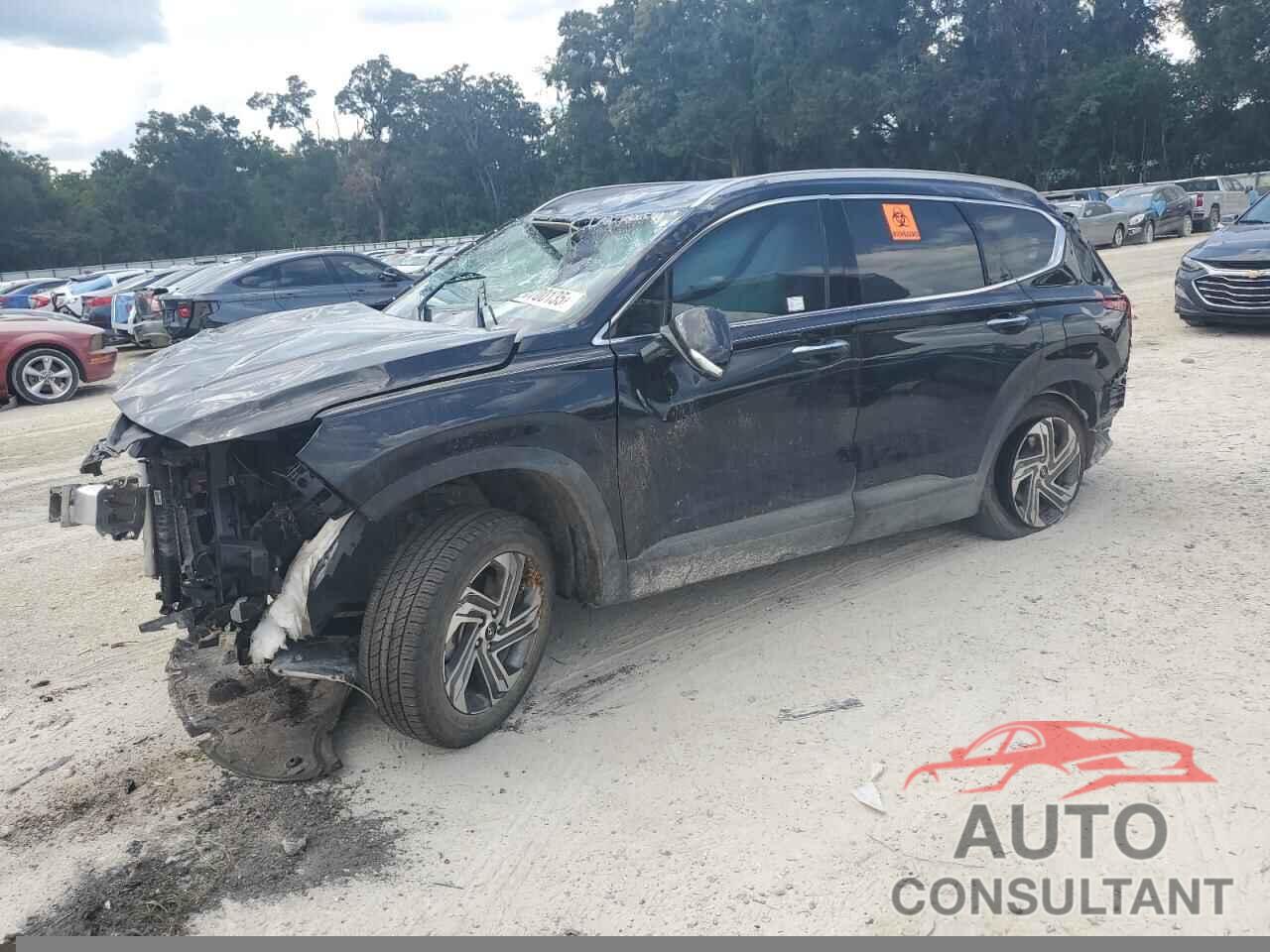 HYUNDAI SANTA FE 2023 - 5NMS24AJ1PH562971