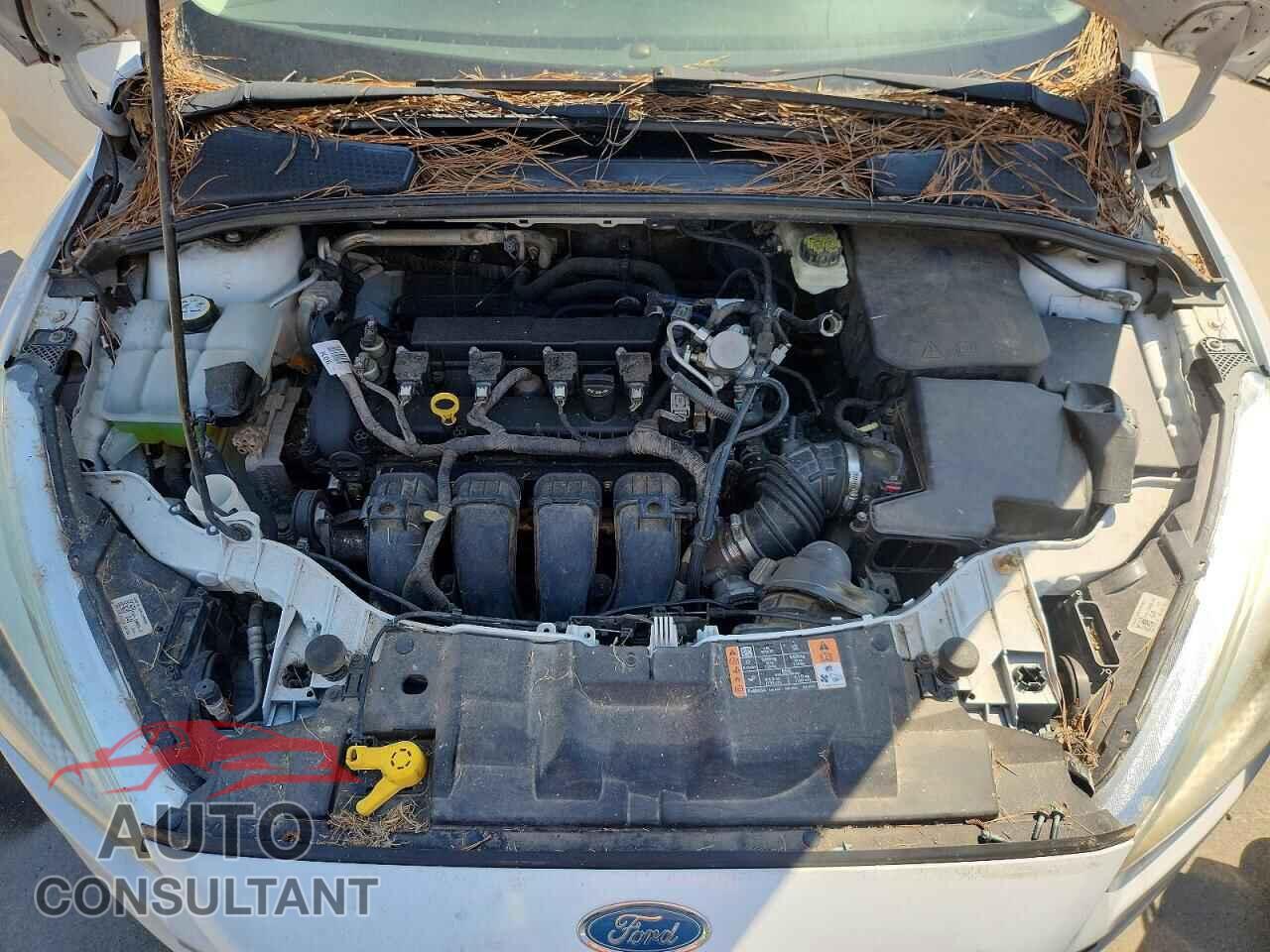 FORD FOCUS 2017 - 1FADP3F20HL295382