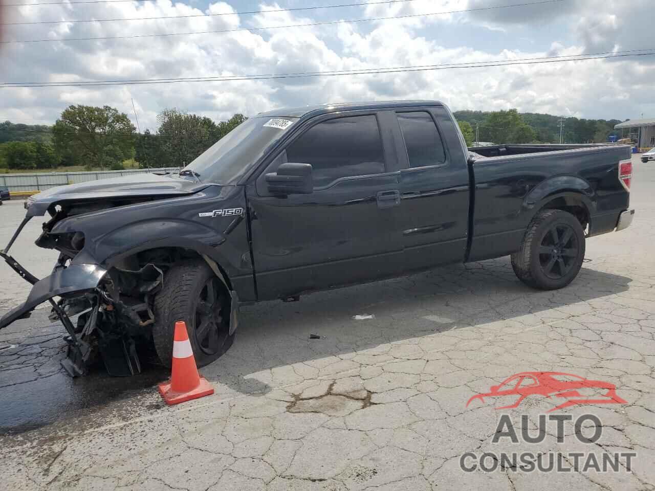 FORD F-150 2011 - 1FTFX1CF3BFC78757