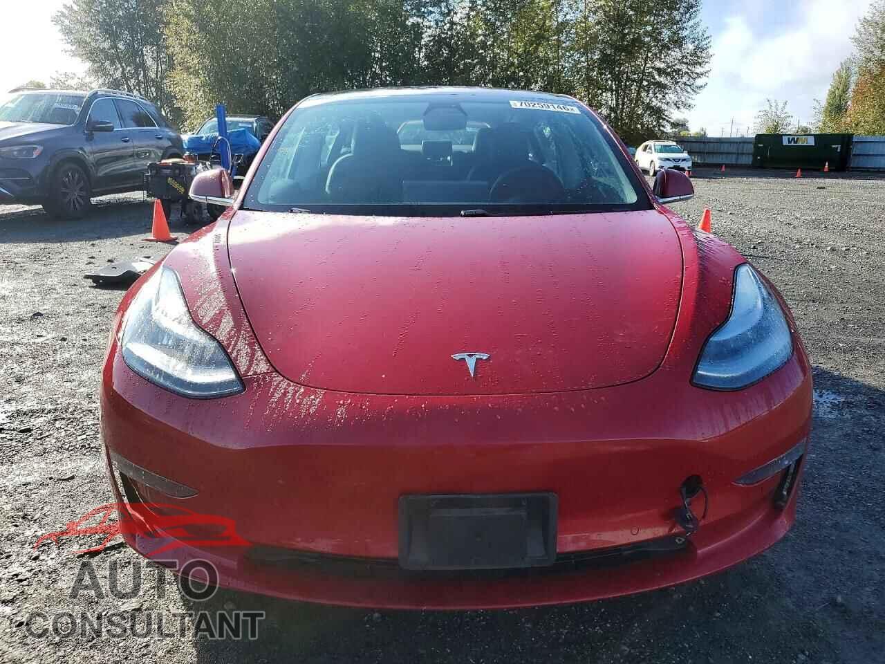 TESLA MODEL 3 2019 - 5YJ3E1EA8KF308382