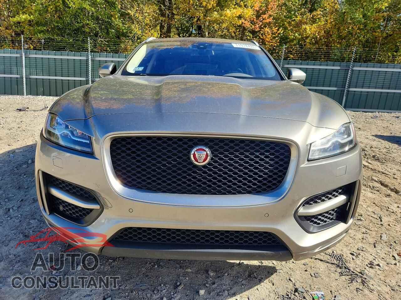 JAGUAR F-PACE 2018 - SADCL2FN0JA255363