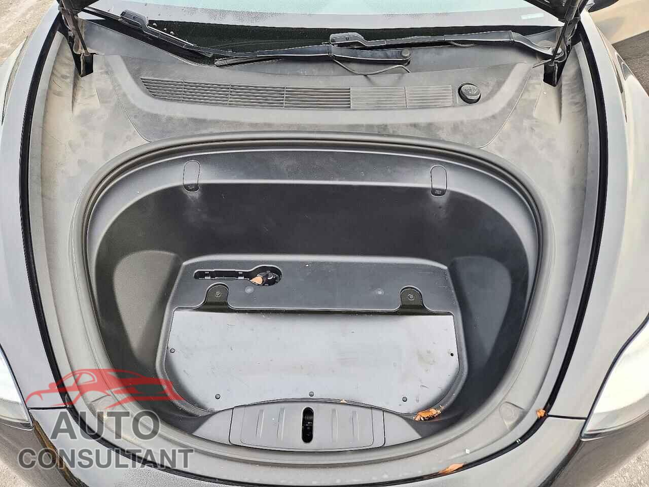 TESLA MODEL 3 2019 - 5YJ3E1EA3KF307124