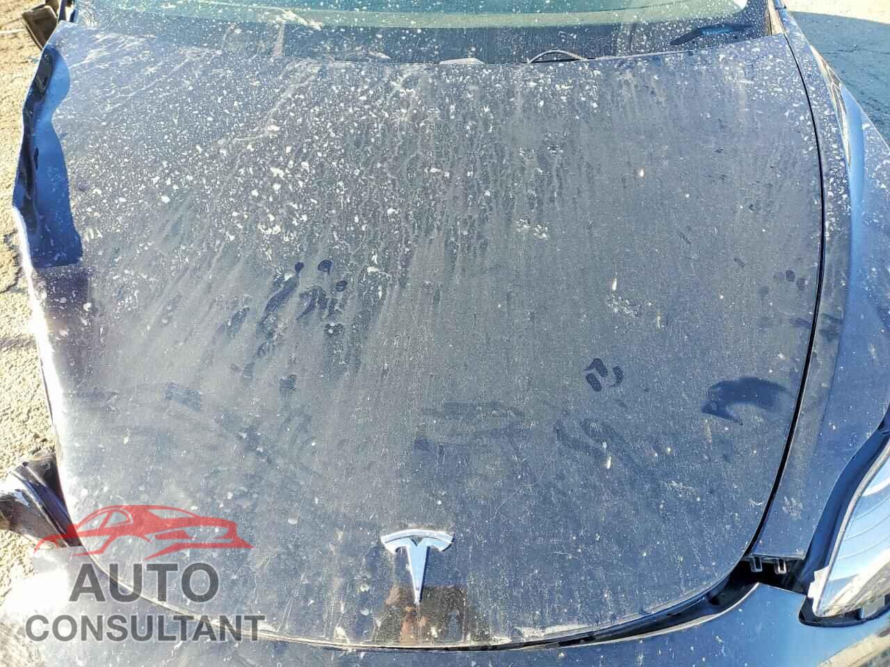 TESLA MODEL 3 2019 - 5YJ3E1EA6KF434479
