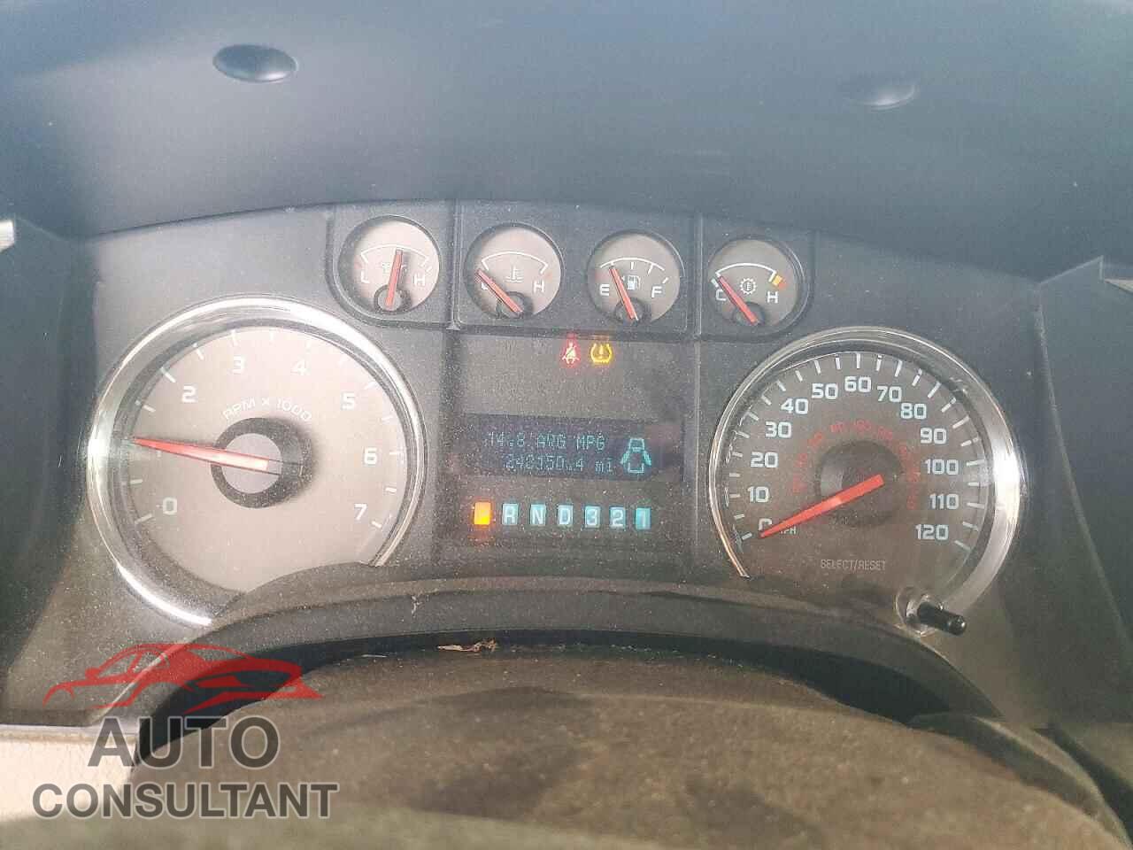 FORD F150 2010 - 1FTFX1EV6AFD83781