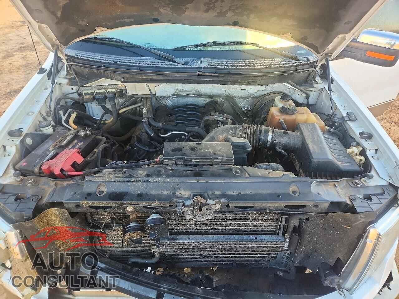FORD F150 2011 - 1FTFW1CF6BFA03676