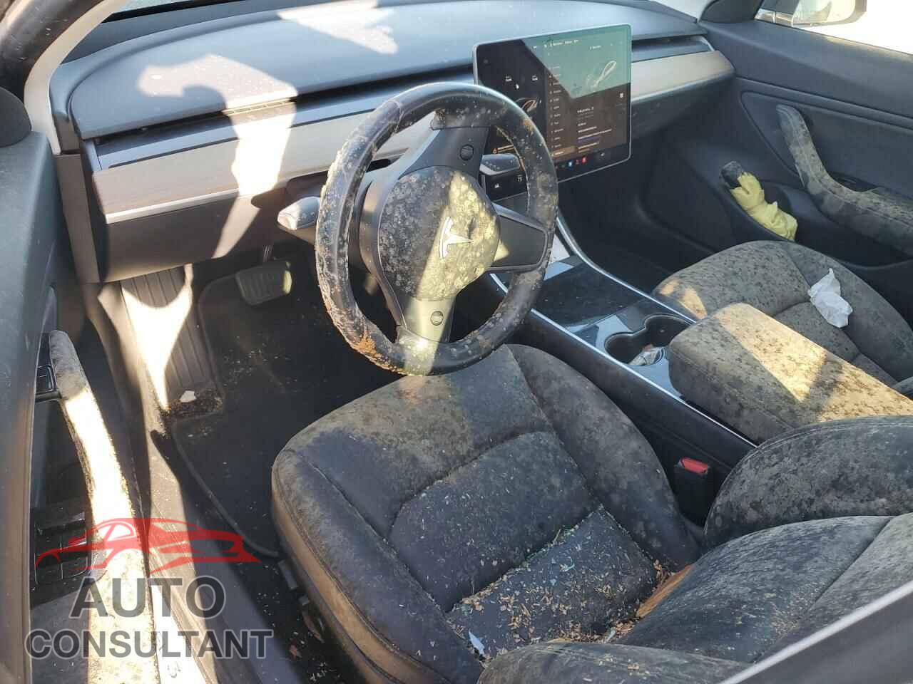 TESLA MODEL 3 2019 - 5YJ3E1EB4KF205744