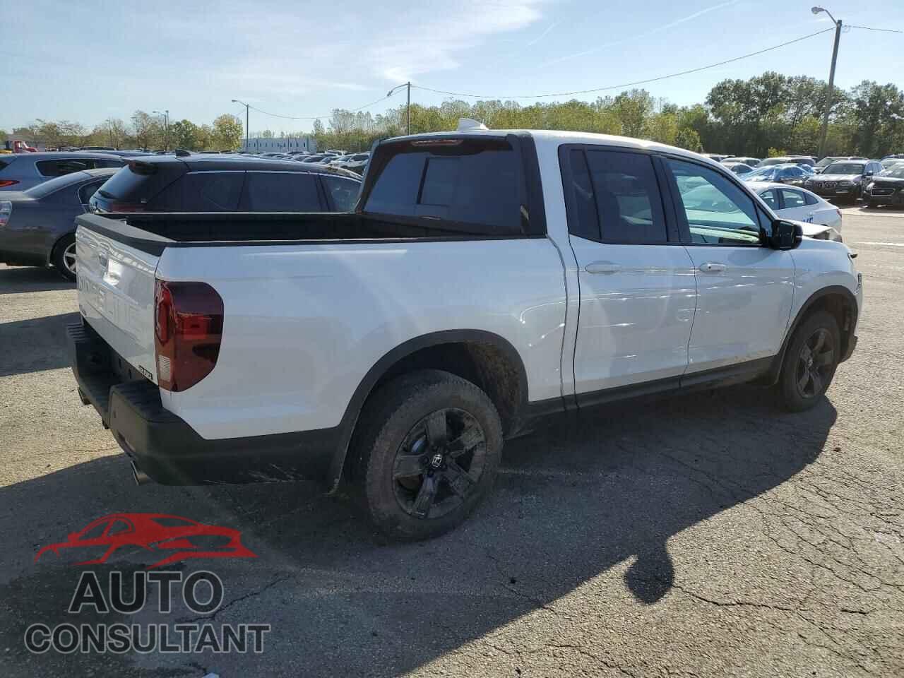 HONDA RIDGELINE 2024 - 5FPYK3F8XRB008074