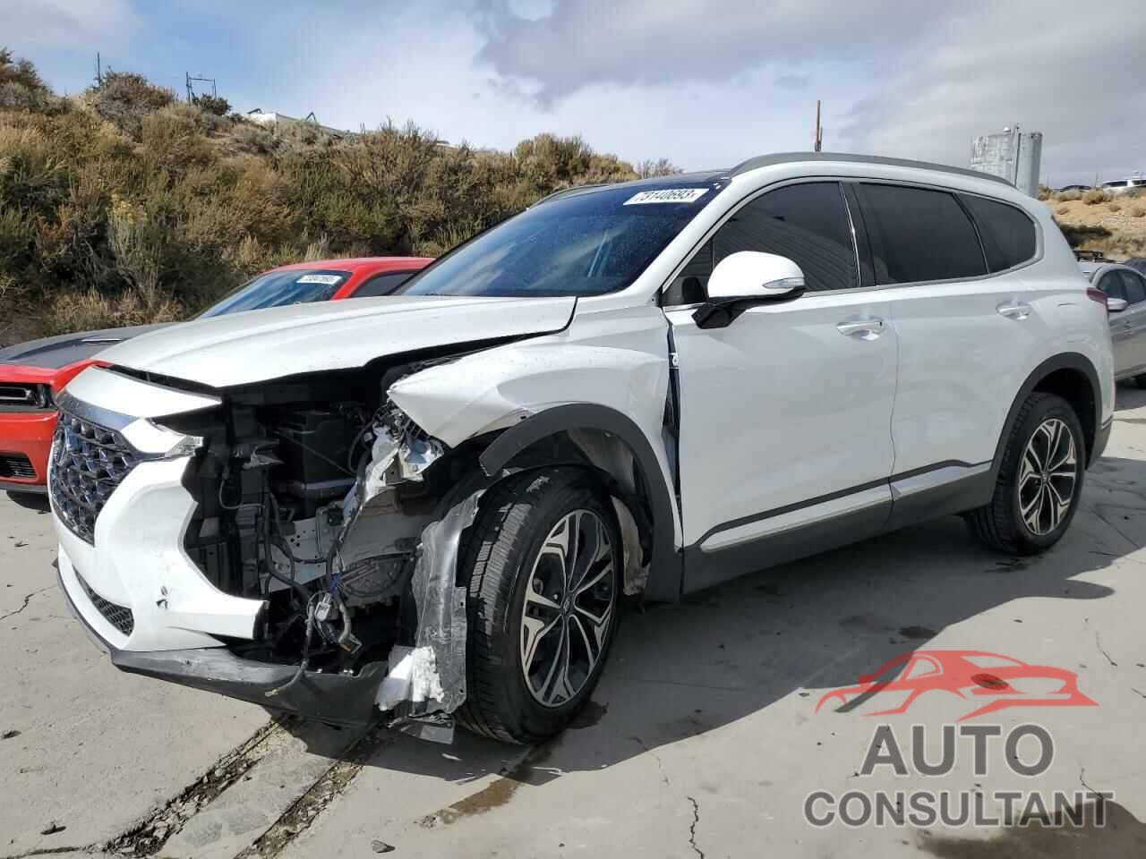 HYUNDAI SANTA FE 2019 - 5NMS5CAA1KH106530