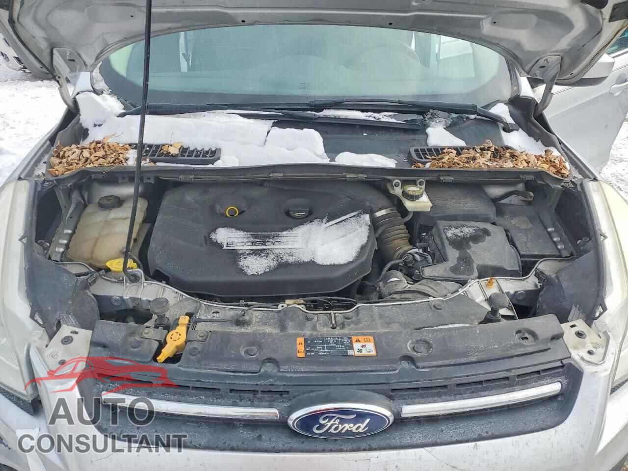 FORD ESCAPE 2014 - 1FMCU0G97EUB43254
