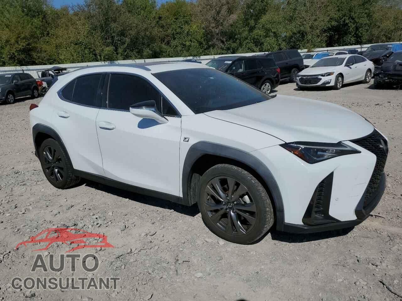 LEXUS UX 200 2019 - JTHY3JBH3K2007145