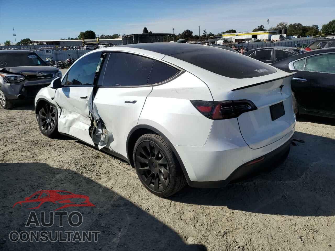 TESLA MODEL Y 2022 - 7SAYGDEE9NF481288