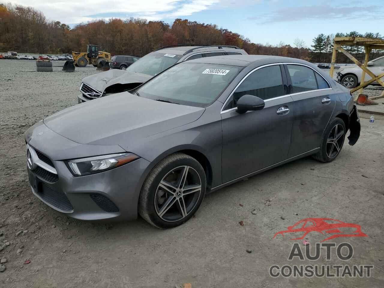 MERCEDES-BENZ A-CLASS 2019 - WDD3G4FB4KW012876