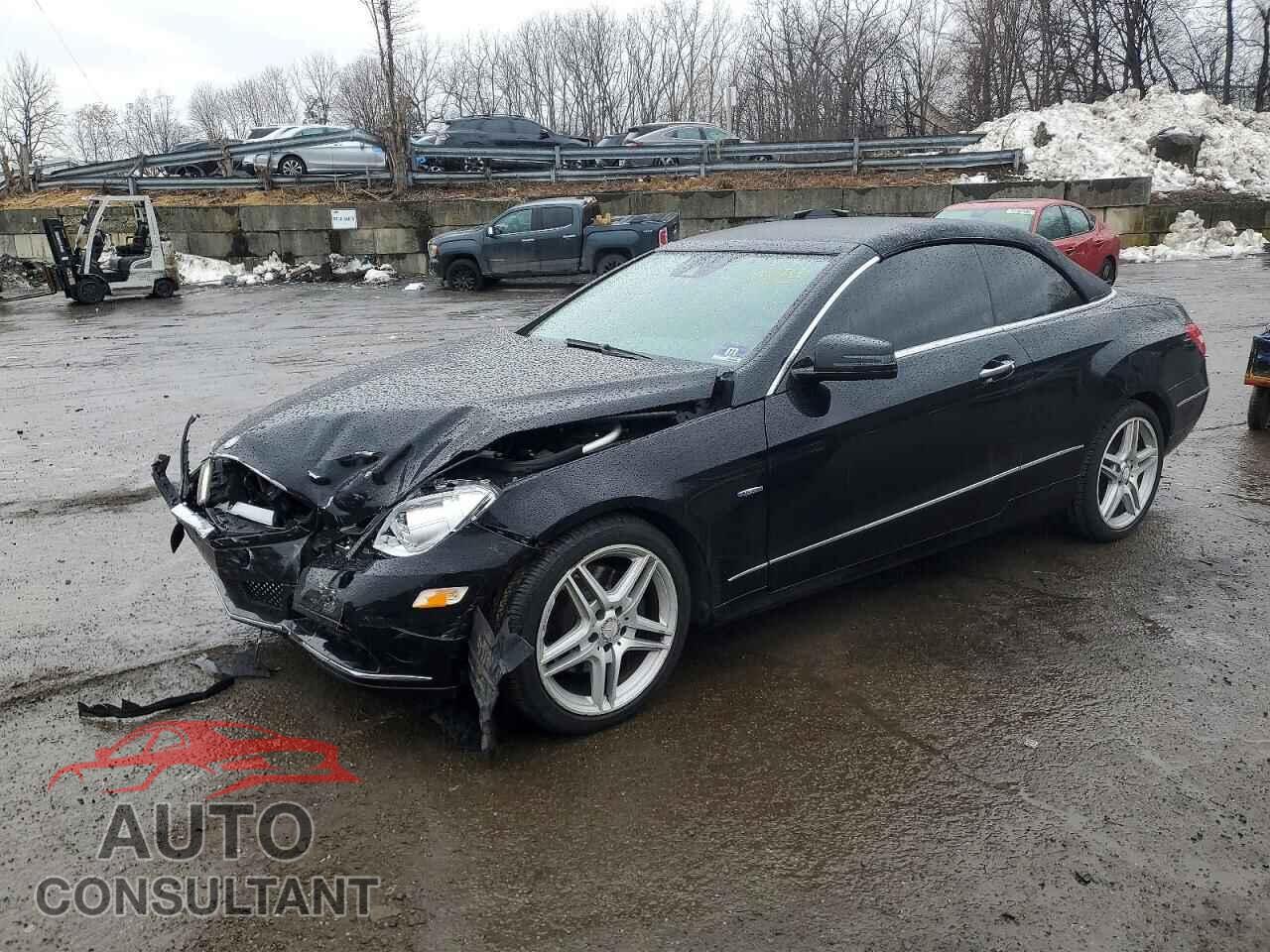 MERCEDES-BENZ E-CLASS 2012 - WDDKK5KF2CF135196