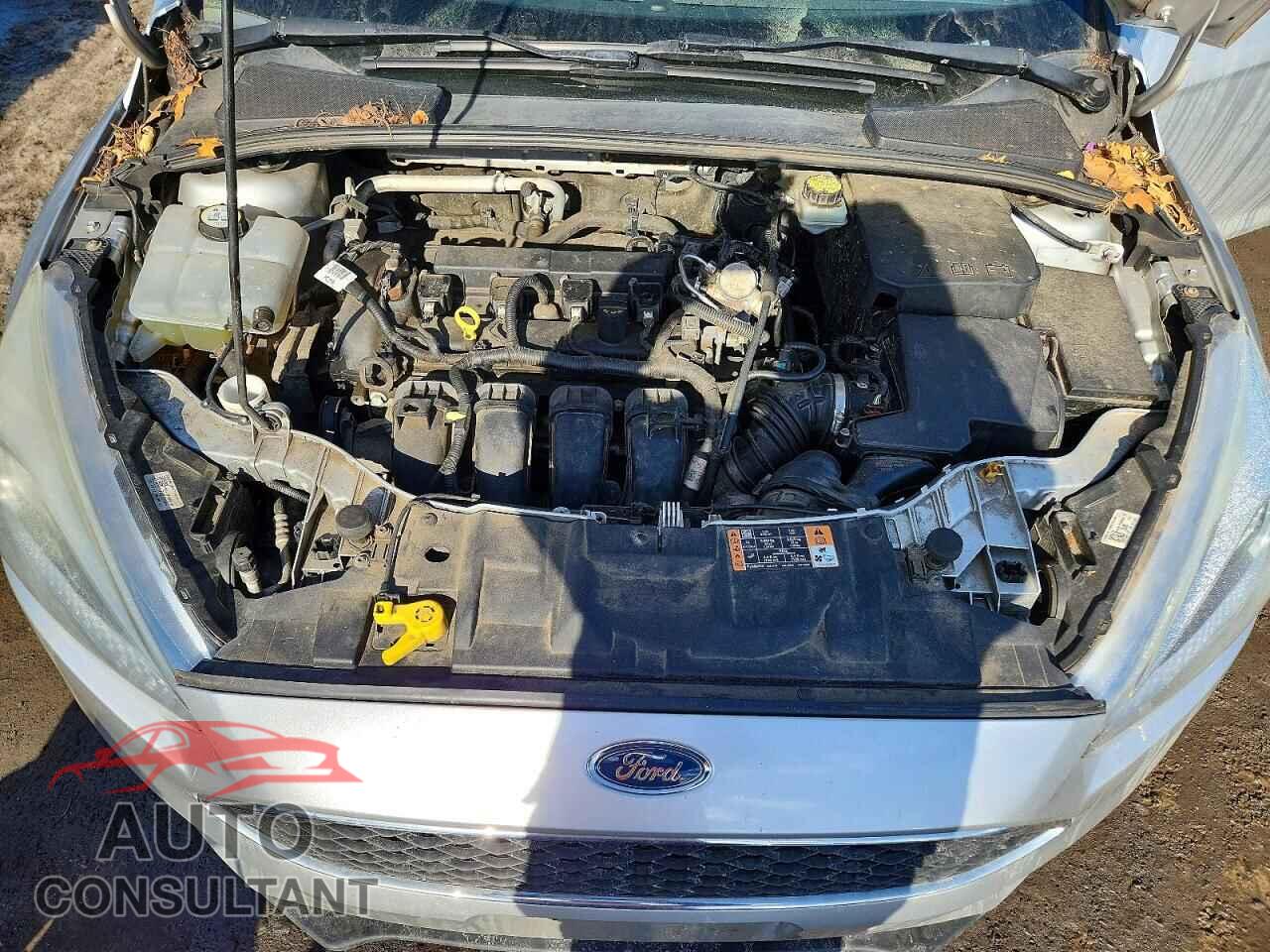 FORD FOCUS 2017 - 1FADP3K21HL248190