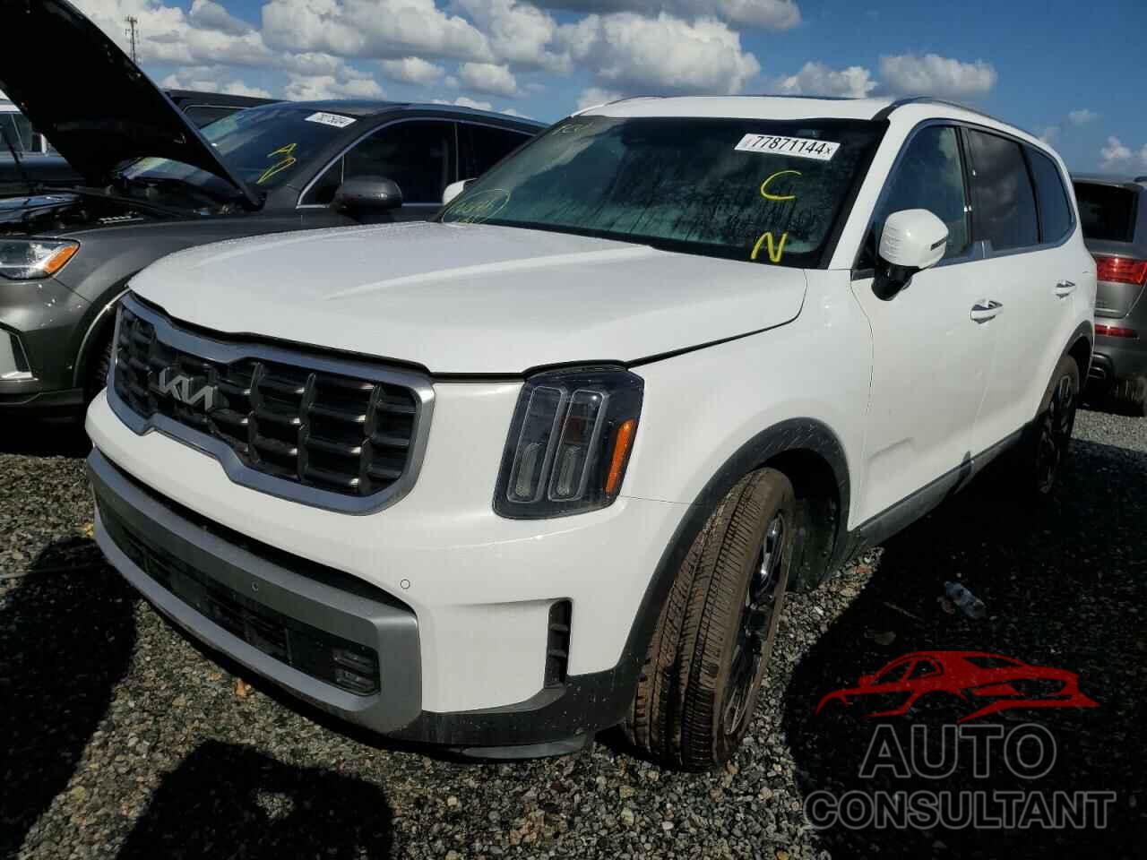 KIA TELLURIDE 2023 - 5XYP5DGC7PG347983