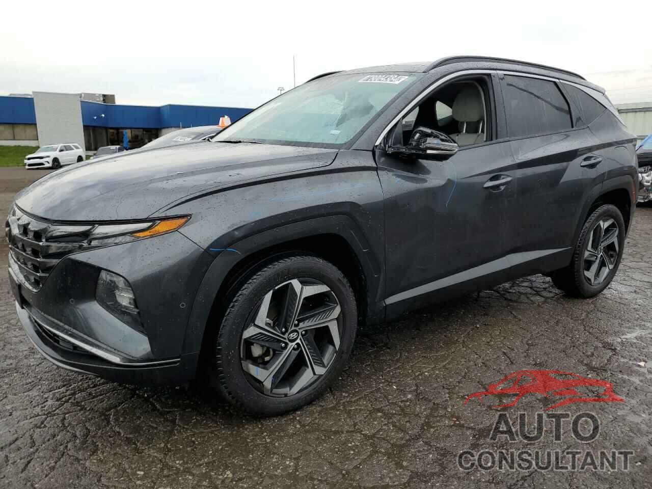 HYUNDAI TUCSON 2024 - 5NMJECDE3RH300285