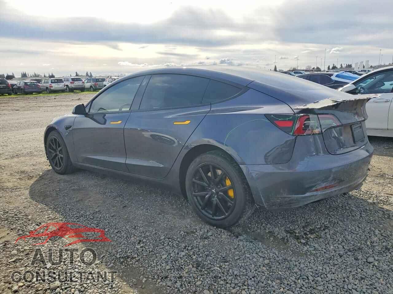 TESLA MODEL 3 2023 - 5YJ3E1EB0PF713538
