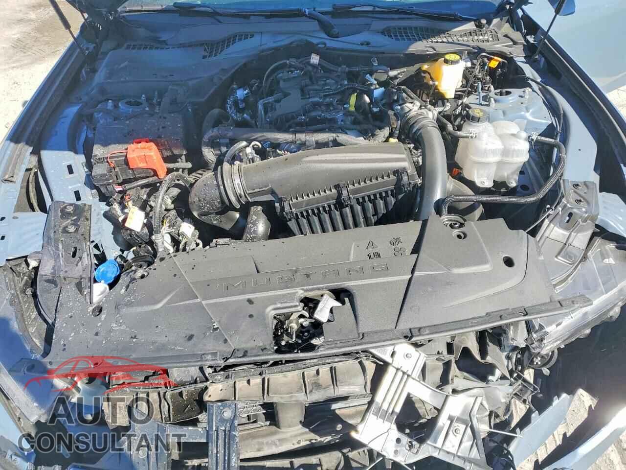 FORD MUSTANG 2025 - 1FA6P8TH3S5129576