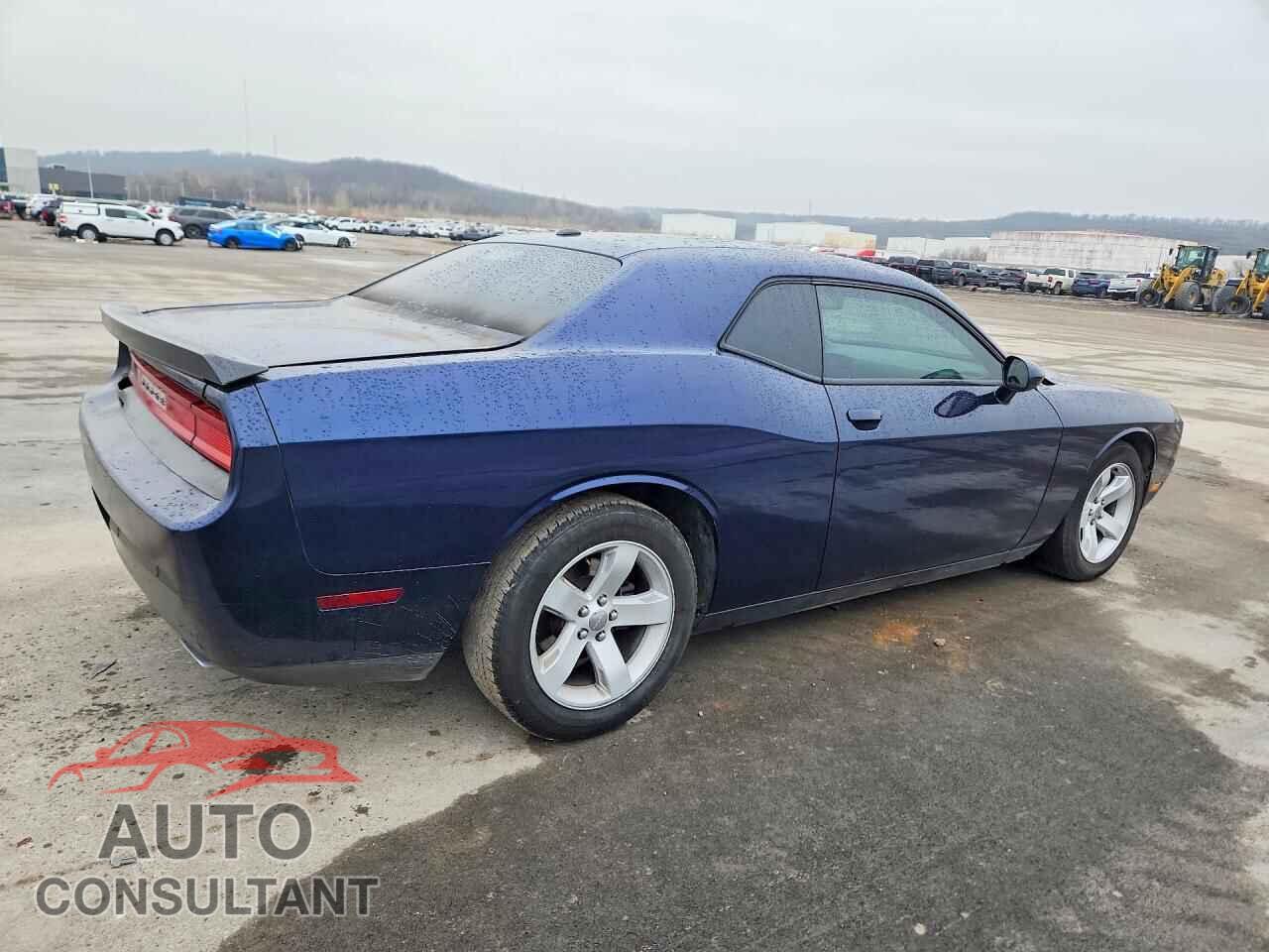 DODGE CHALLENGER 2013 - 2C3CDYAG4DH595517