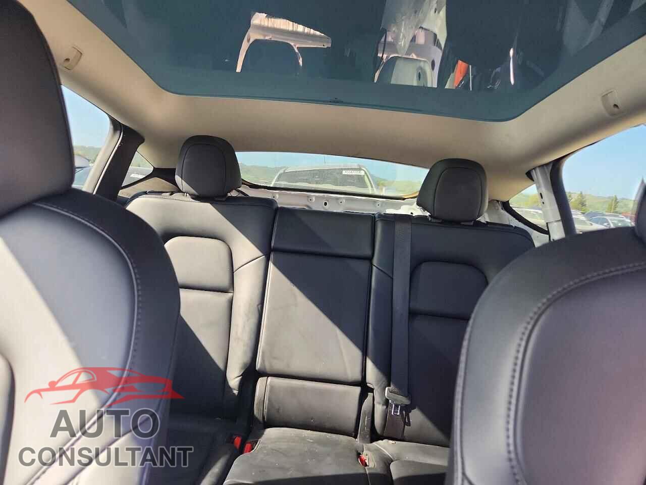 TESLA MODEL Y 2022 - 7SAYGAEE7NF385156