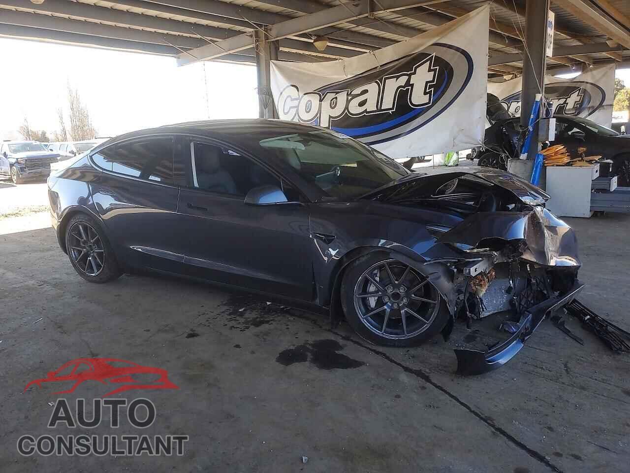 TESLA MODEL 3 2023 - 5YJ3E1EA1PF406631