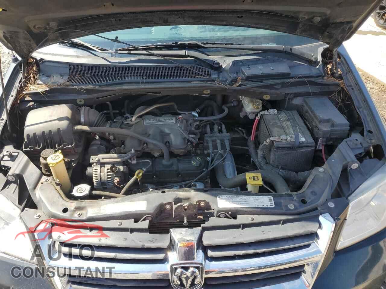 DODGE CARAVAN 2010 - 2D4RN5D14AR177637