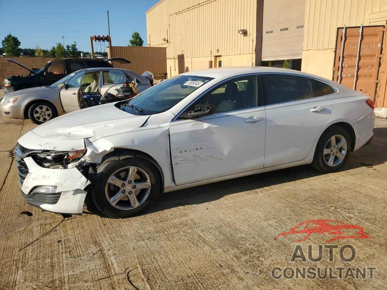 CHEVROLET MALIBU 2019 - 1G1ZB5ST9KF216007
