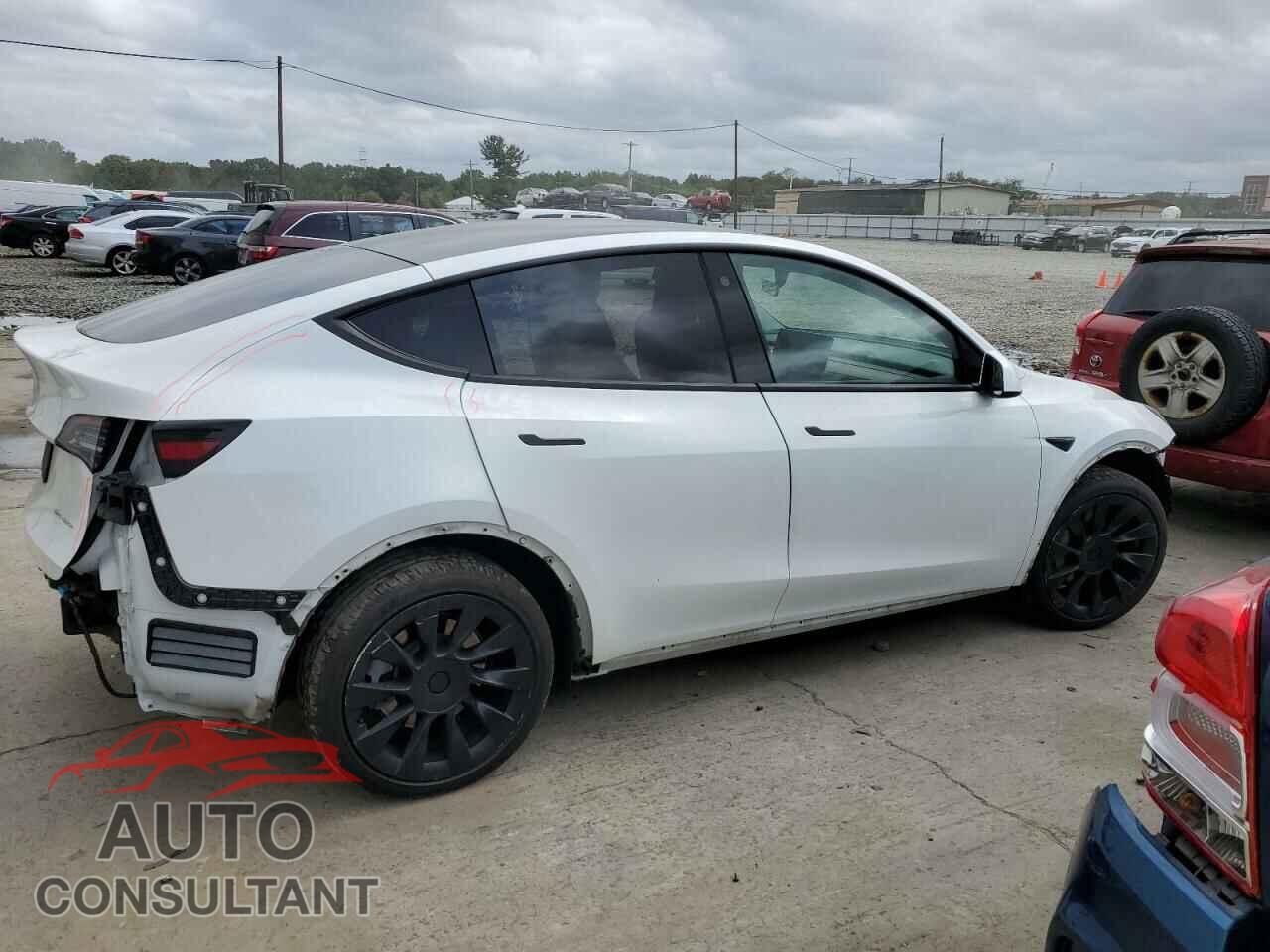 TESLA MODEL Y 2021 - 5YJYGDEEXMF088542