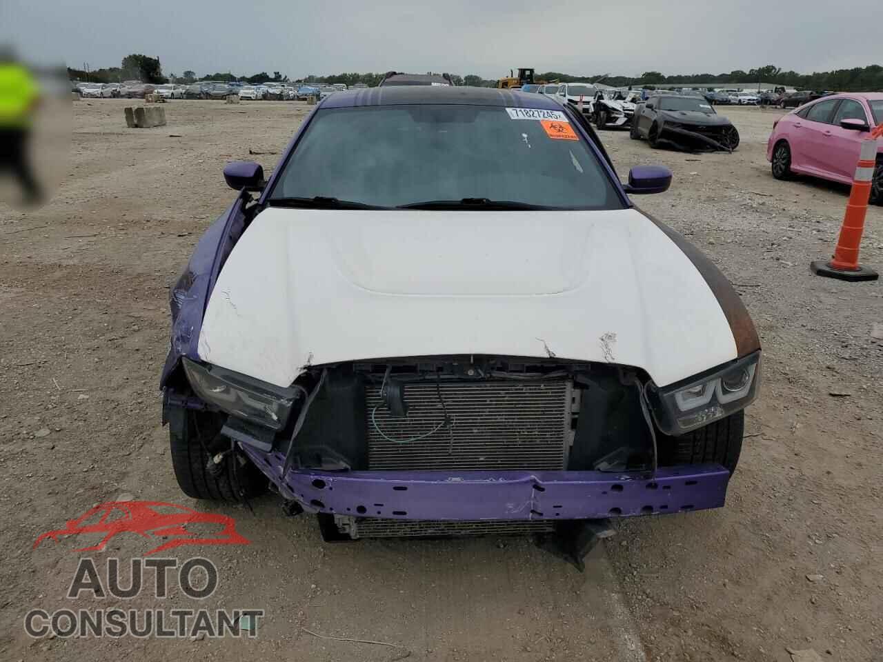 DODGE CHARGER 2014 - 2C3CDXCT4EH115790
