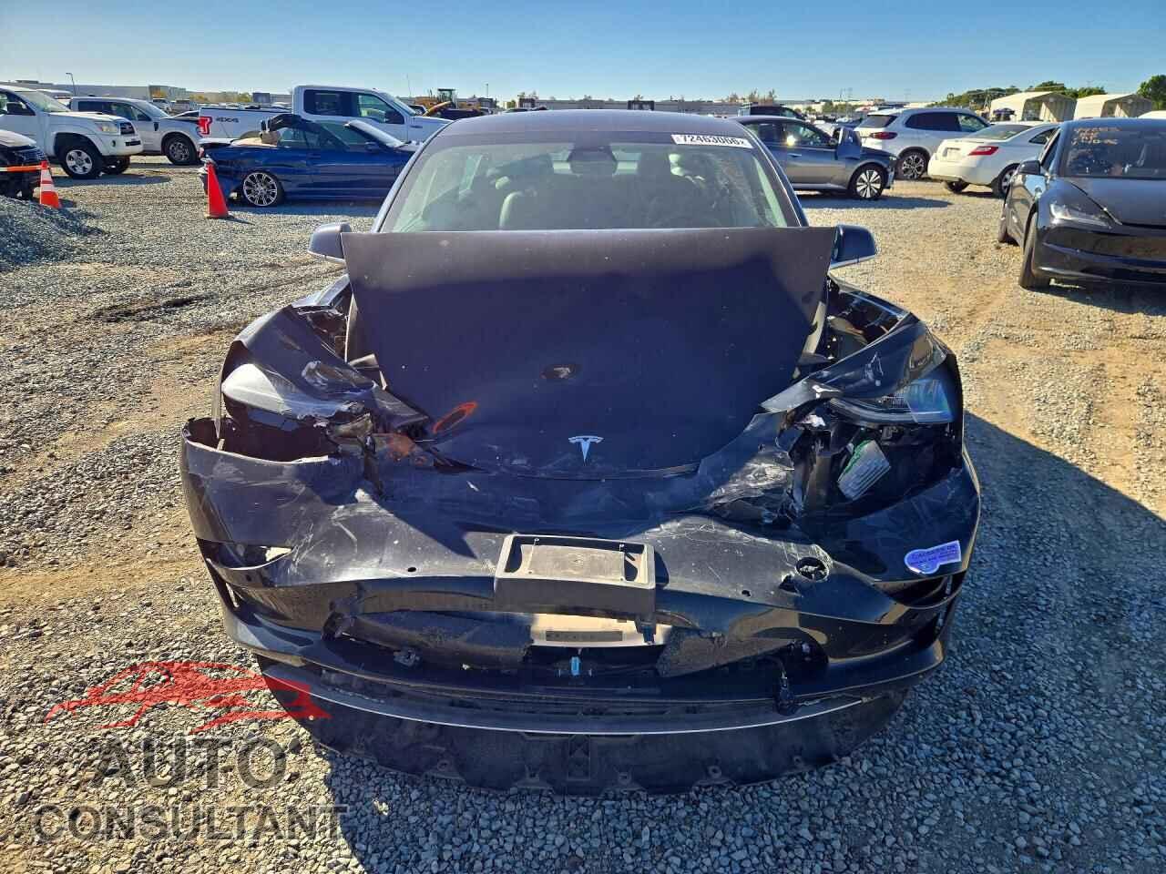 TESLA MODEL 3 2019 - 5YJ3E1EA3KF316826