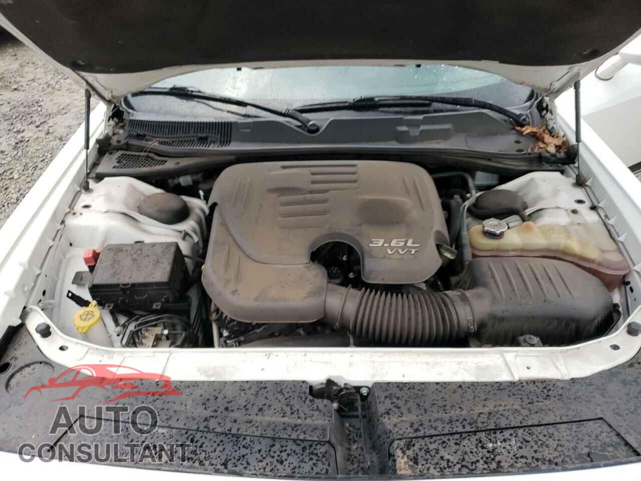 DODGE CHALLENGER 2019 - 2C3CDZAG4KH620547